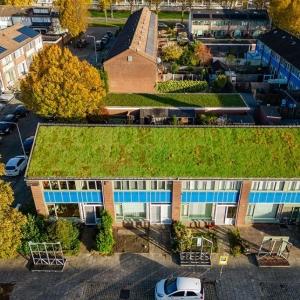 Sociale huurwoningen met groendak en zelfontwikkelde mosgevelpanelen